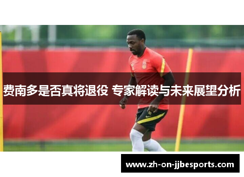 费南多是否真将退役 专家解读与未来展望分析