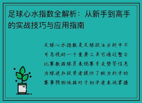 足球心水指数全解析:从新手到高手的实战技巧与应用指南 足球心水指数全解析:从新手到高手的实战技巧与应用指南