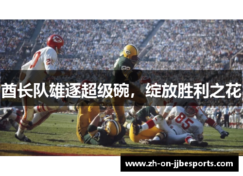 酋长队雄逐超级碗，绽放胜利之花